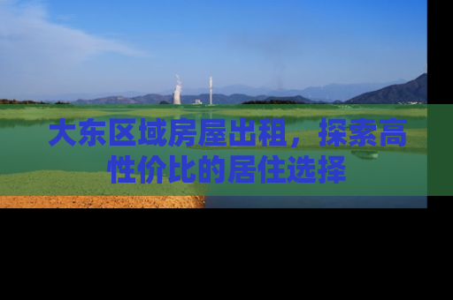 大东区域房屋出租，探索高性价比的居住选择