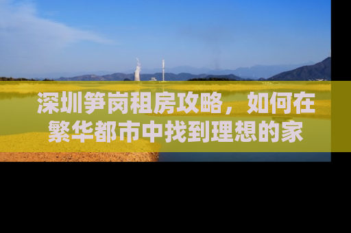 深圳笋岗租房攻略，如何在繁华都市中找到理想的家