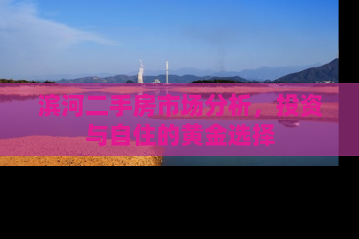 滨河二手房市场分析，投资与自住的黄金选择