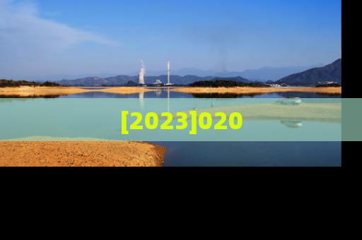 [2023]020