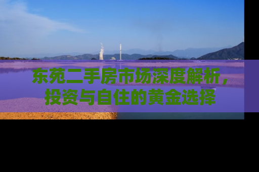 东苑二手房市场深度解析，投资与自住的黄金选择