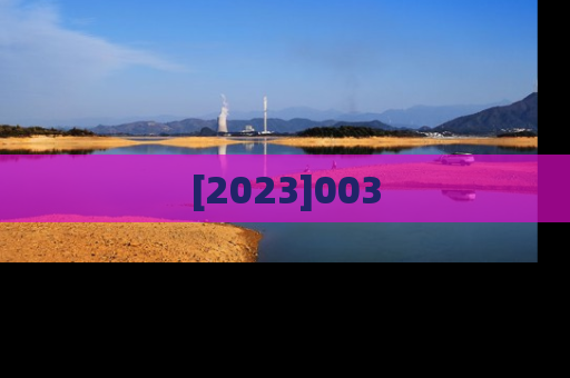 [2023]003