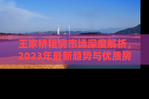 王家桥租房市场深度解析，2023年最新趋势与优质房源推荐