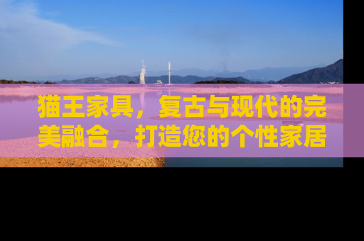 猫王家具，复古与现代的完美融合，打造您的个性家居空间