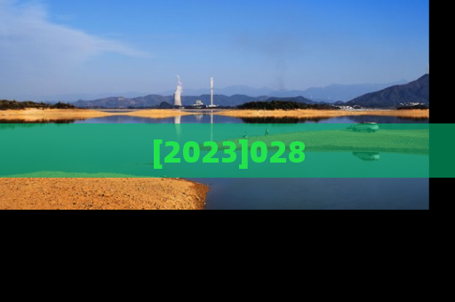 [2023]028