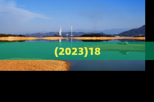 (2023)18