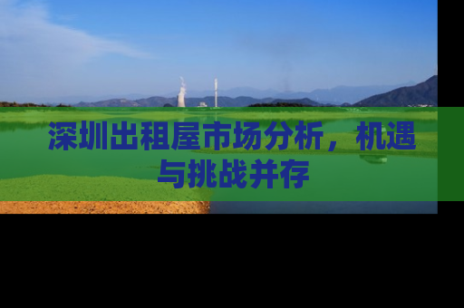 深圳出租屋市场分析，机遇与挑战并存