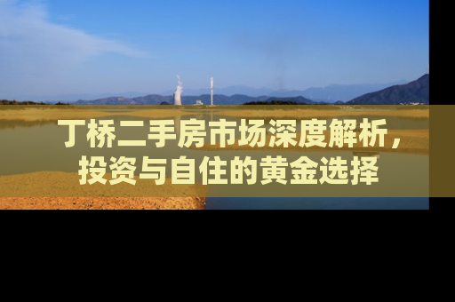 丁桥二手房市场深度解析，投资与自住的黄金选择