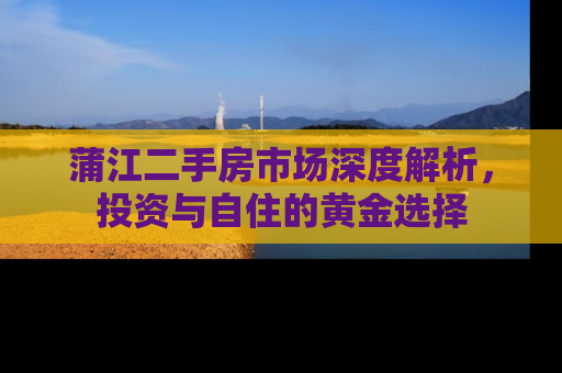 蒲江二手房市场深度解析，投资与自住的黄金选择