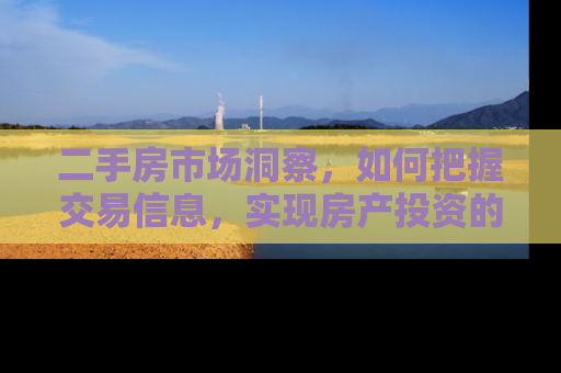 二手房市场洞察，如何把握交易信息，实现房产投资的精准定位