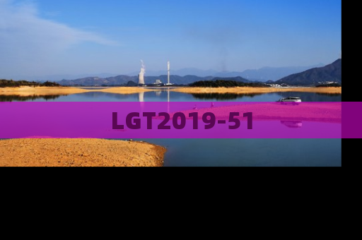 LGT2019-51