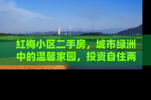 红梅小区二手房，城市绿洲中的温馨家园，投资自住两相宜