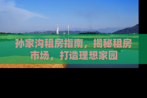 孙家沟租房指南，揭秘租房市场，打造理想家园