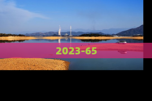 2023-65