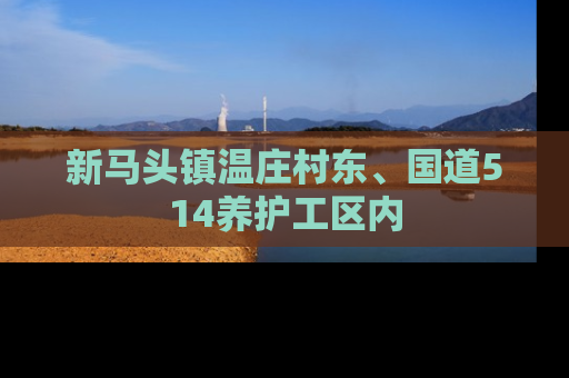 新马头镇温庄村东、国道514养护工区内