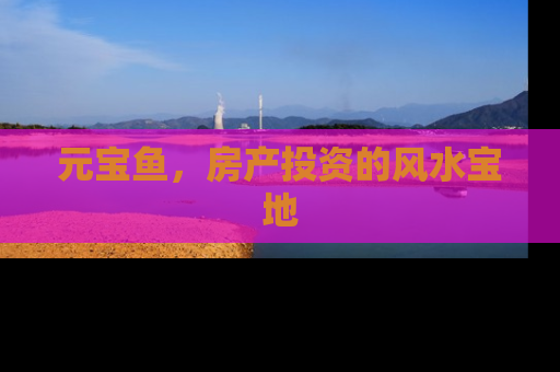 元宝鱼，房产投资的风水宝地