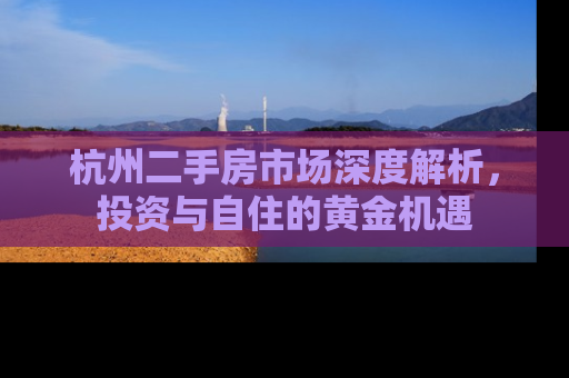 杭州二手房市场深度解析，投资与自住的黄金机遇