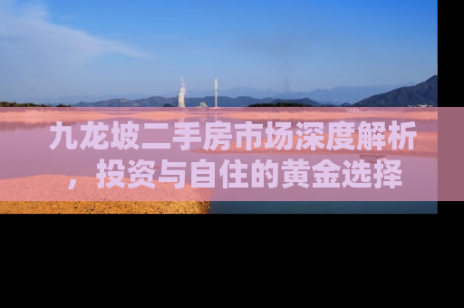 九龙坡二手房市场深度解析，投资与自住的黄金选择
