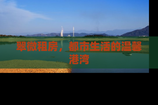 翠微租房，都市生活的温馨港湾