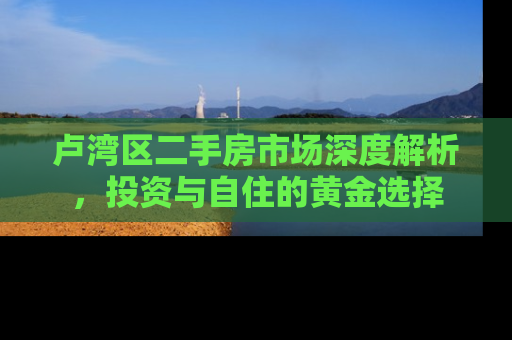 卢湾区二手房市场深度解析，投资与自住的黄金选择