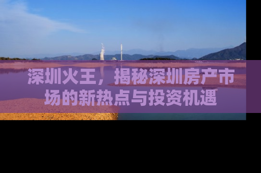 深圳火王，揭秘深圳房产市场的新热点与投资机遇