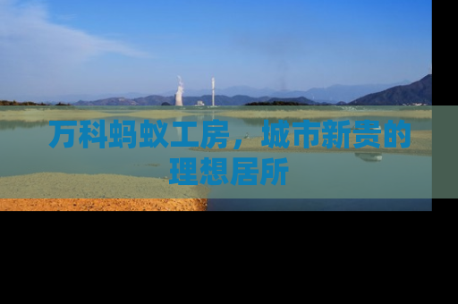 万科蚂蚁工房，城市新贵的理想居所