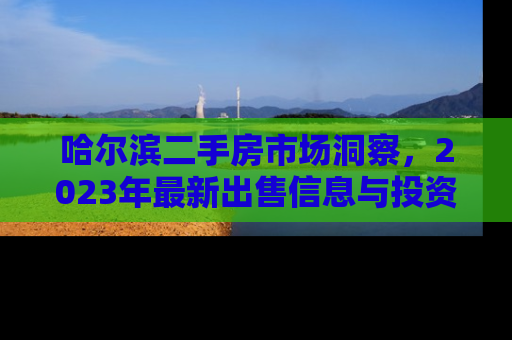 哈尔滨二手房市场洞察，2023年最新出售信息与投资指南