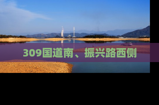 309国道南、振兴路西侧