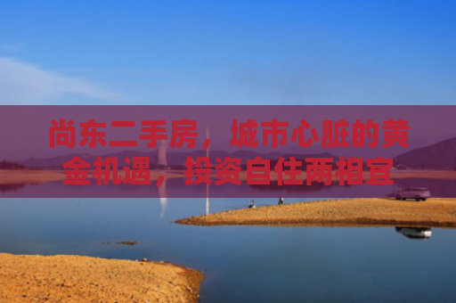 尚东二手房，城市心脏的黄金机遇，投资自住两相宜