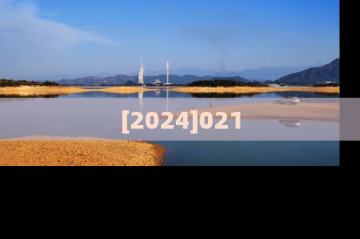 [2024]021