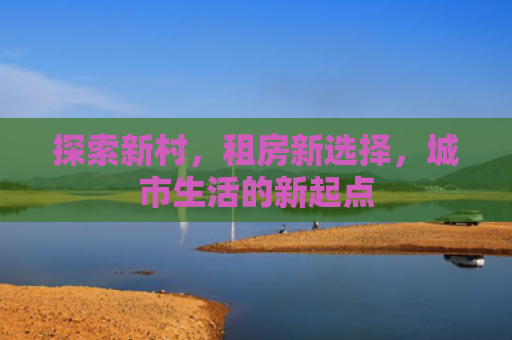 探索新村，租房新选择，城市生活的新起点