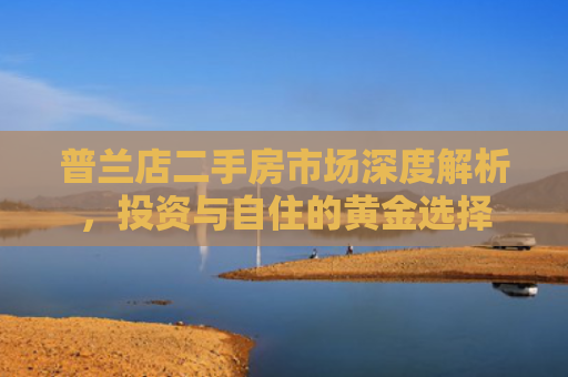 普兰店二手房市场深度解析，投资与自住的黄金选择