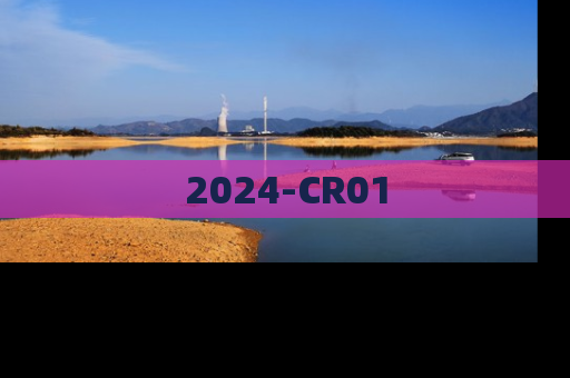 2024-CR01