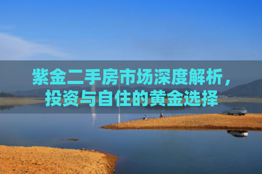 紫金二手房市场深度解析，投资与自住的黄金选择