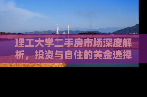 理工大学二手房市场深度解析，投资与自住的黄金选择