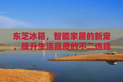 东芝冰箱，智能家居的新宠，提升生活品质的不二选择
