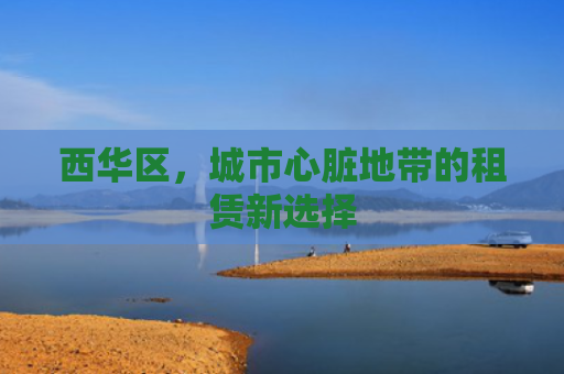 西华区，城市心脏地带的租赁新选择