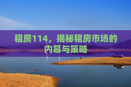 租房114，揭秘租房市场的内幕与策略