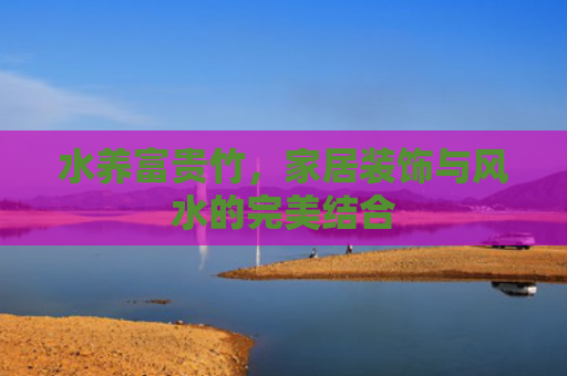 水养富贵竹，家居装饰与风水的完美结合