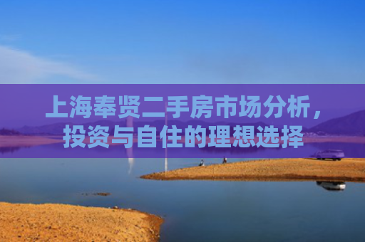 上海奉贤二手房市场分析，投资与自住的理想选择