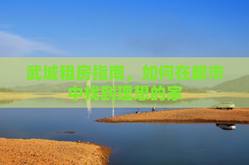 武城租房指南，如何在都市中找到理想的家