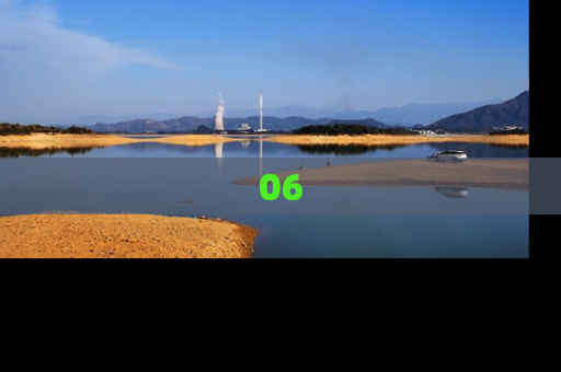 06
