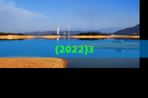 (2022)3