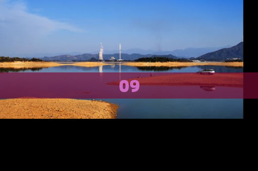 09
