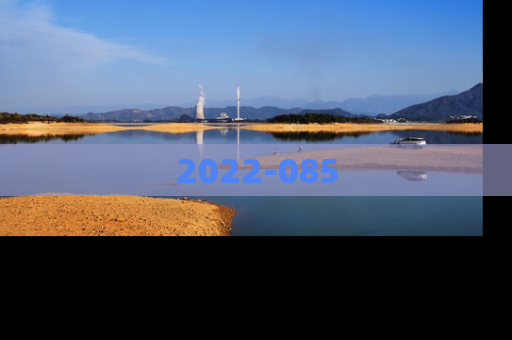 2022-085