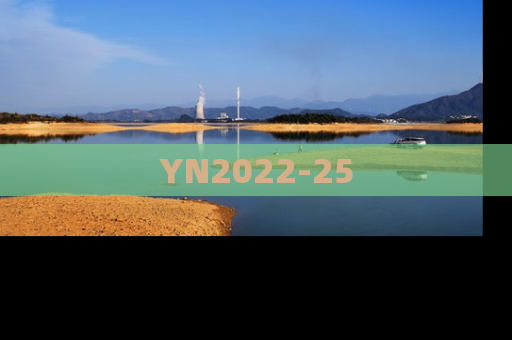 YN2022-25