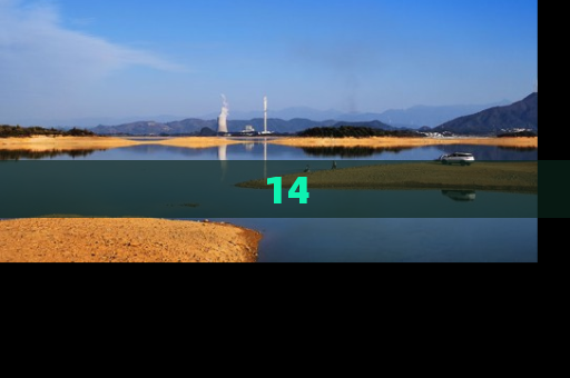 14