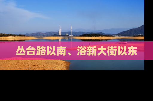 丛台路以南、浴新大街以东