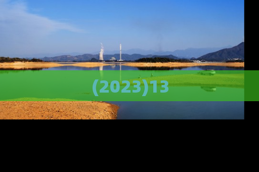 (2023)13