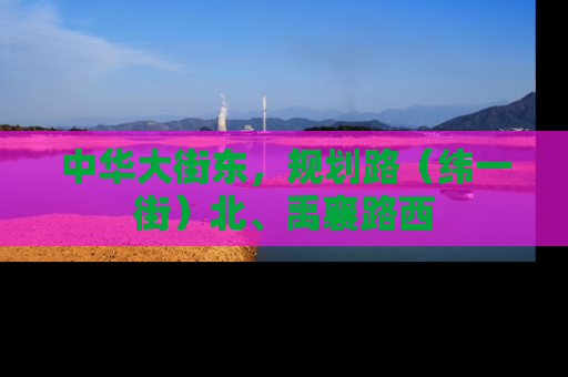 中华大街东，规划路（纬一街）北、禹襄路西